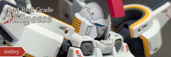 RG Tallgeese
